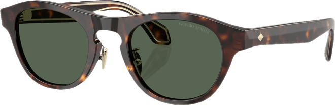 Men's Sunglasses AR8225