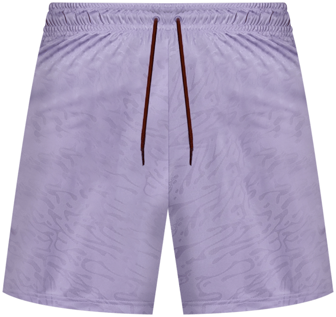 Nike SB Shorts de skateboarding Dri-FIT