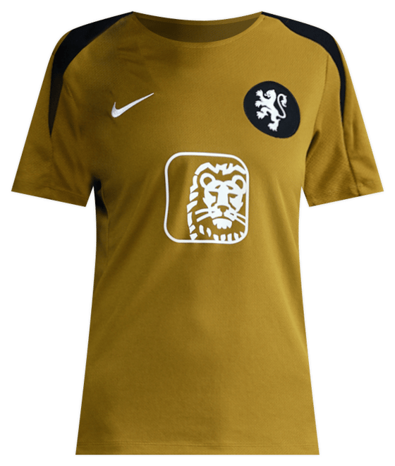 Hollanda Strike Nike Dri-FIT Kısa Kollu Kadın Futbol Üstü