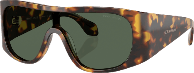 Men's Sunglasses AR8222U