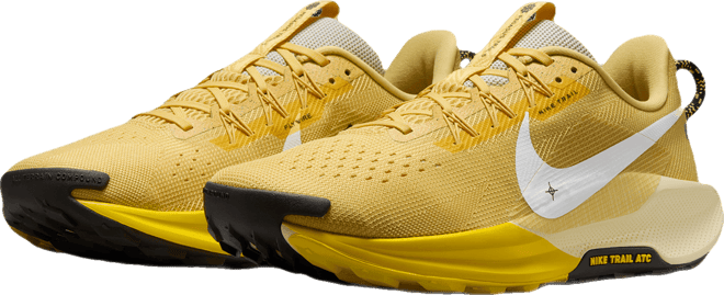 Nike Pegasus Trail 5 Men's Trail Running Shoes