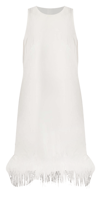 Women's Feathered Hem High Neck Sleeveless A Line Dress