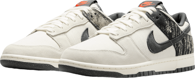 Nike Dunk Low Retro SE Men's Shoes