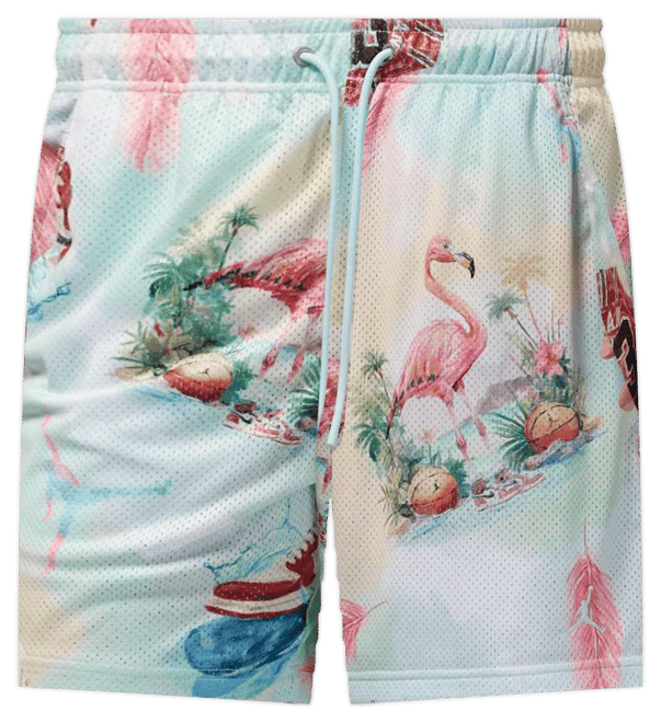 Jordan Essentials Meshshorts med print til mænd