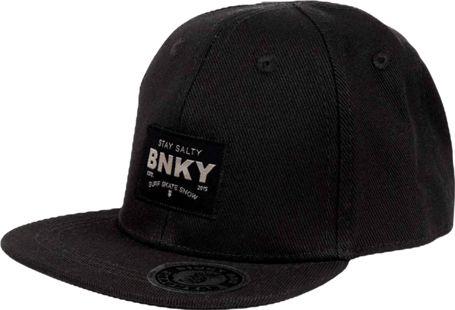 Mens Bank Vaults Snapback Hat