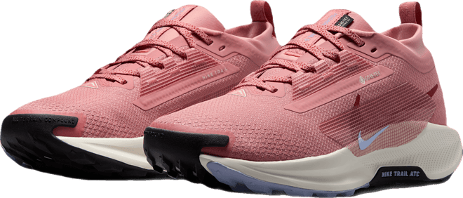 Nike Pegasus Trail 5 GORE-TEX Chaussure de trail imperméable pour femme