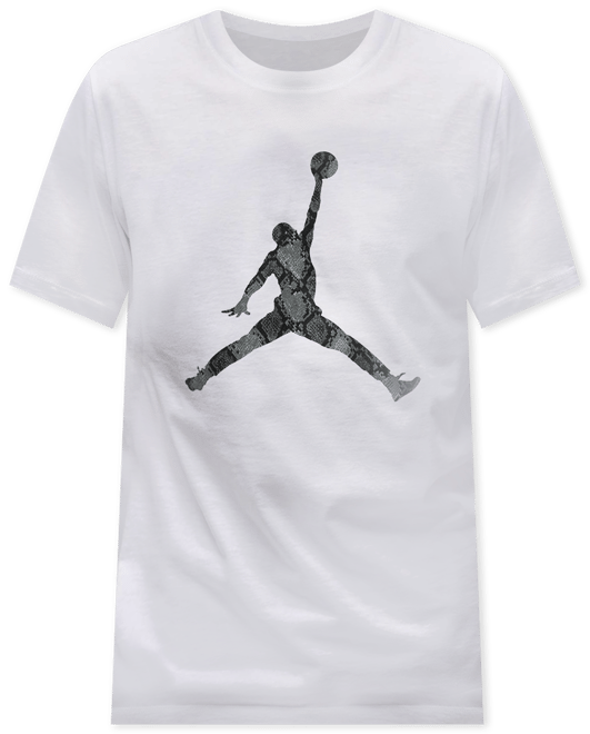 Jordan Sport Men's Dri-FIT T-Shirt