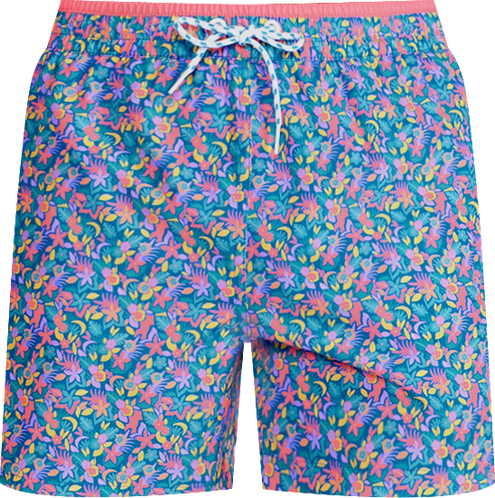 Men's Sea-Life Graphic Lined 5.5" Swim Trunks