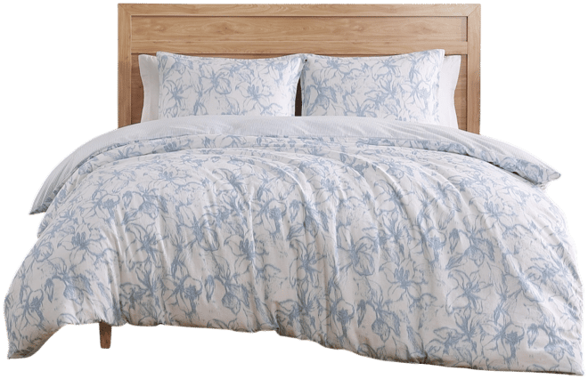 Ethereal Floral Cotton 2-Pc. Duvet Cover Set, Twin