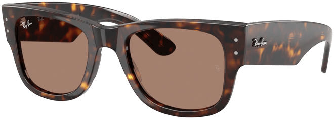 Ray-Ban Mega Wayfarer Sunglasses