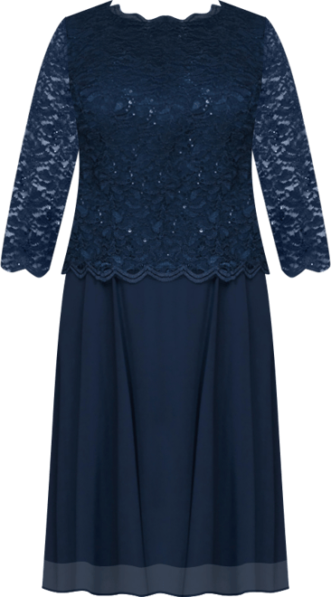 Plus Size Sequined Lace A-Line Dress