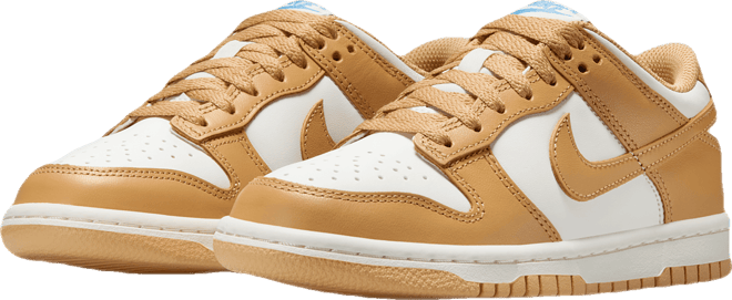 Nike Dunk Low Chaussure pour ado