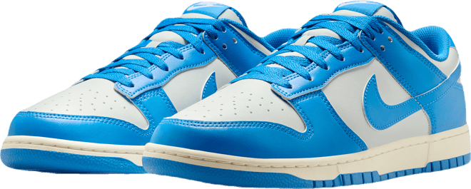 Nike Dunk Low Retro Men's Shoes