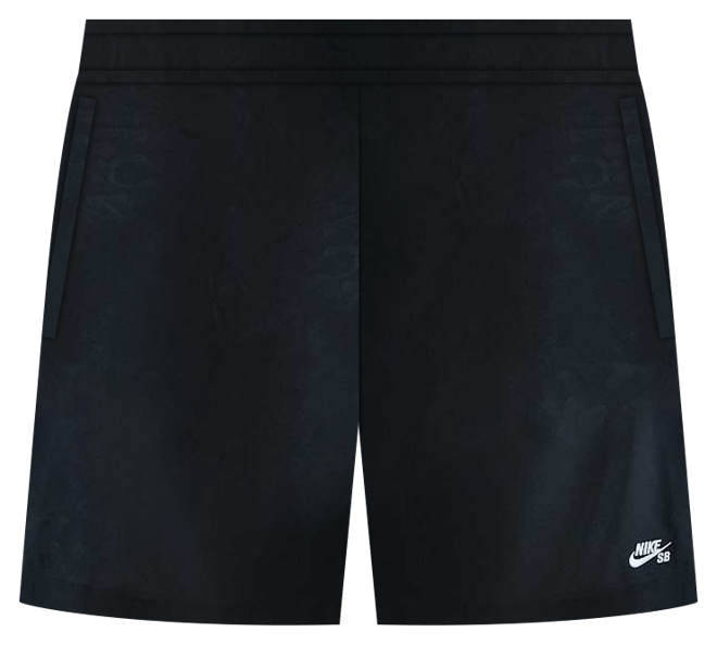 Nike SB Dri-FIT Skate Shorts
