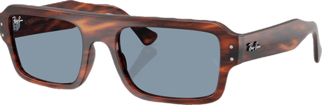 Unisex Lukas Sunglasses, RB4454