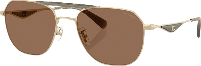 Men's Standard Sunglasses, CAE80 HC7178