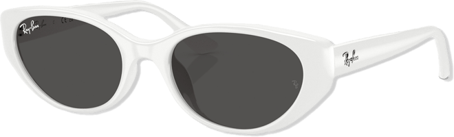 Unisex Large Sunglasses, RB4457D