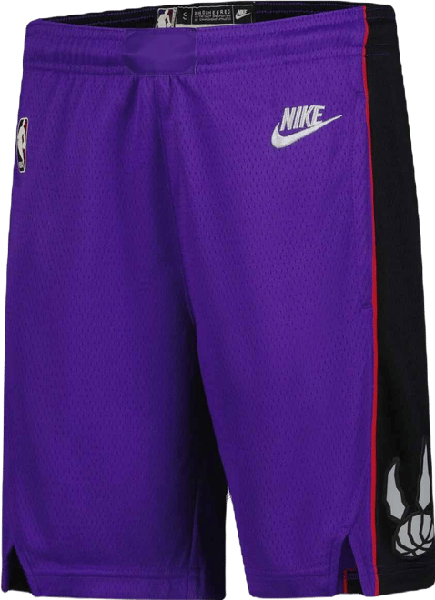 Youth Purple Toronto Raptors 2024/25 City Edition Swingman Performance Shorts