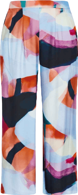 Plus Size Aspect Level Pant