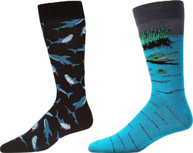 Men's Crew Lake Life Assortment Socks, Pair of 2