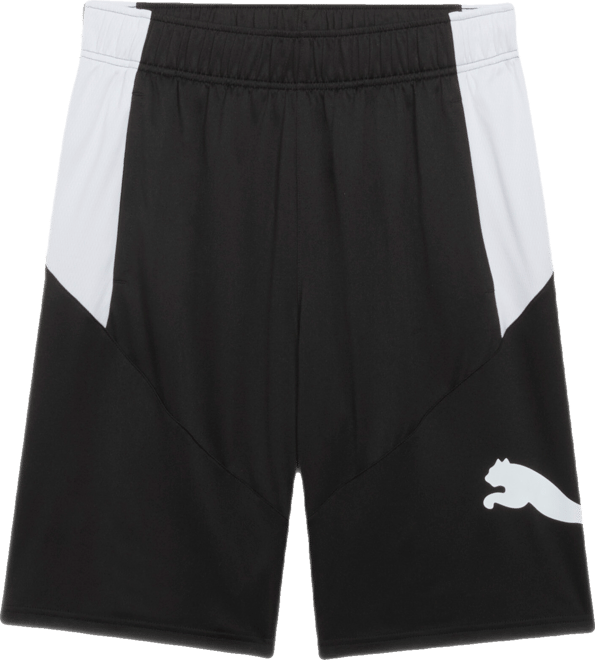 PUMA Train Men's 10" Shorts