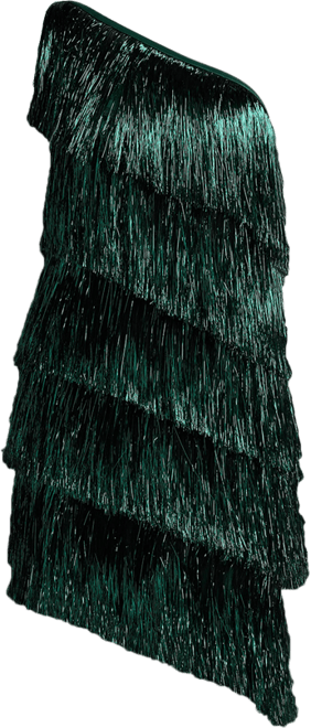 【Tadashi Shoji】Sonny llic Fringe Mini Dress Sonny Metallic Fringe Mini Dress | Tadashi Shoji