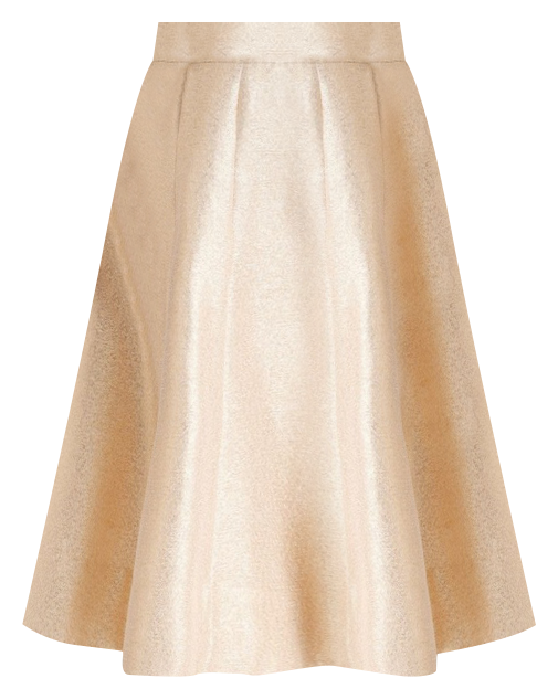 Panelled Full Skirt in Gold