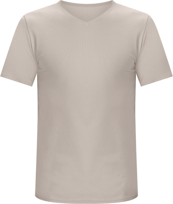 Men's Organic Cotton Luxe Stretch Jersey Slim V-Neck Tee