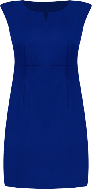 Women's Sleeveless Sheath Dress