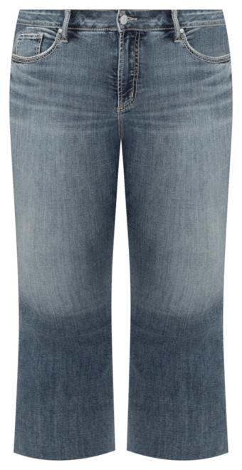 Plus Size Suki Mid Rise Curvy Fit Flare Jeans