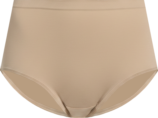 Women's Smooth & Shine Seamfree Brief Underwear 3655