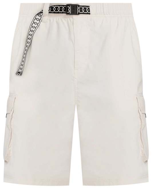 Nike SB Shorts cargo de skateboarding Dri-FIT Kearny