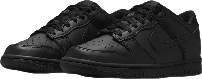 Nike Dunk Low Big Kids' Shoes