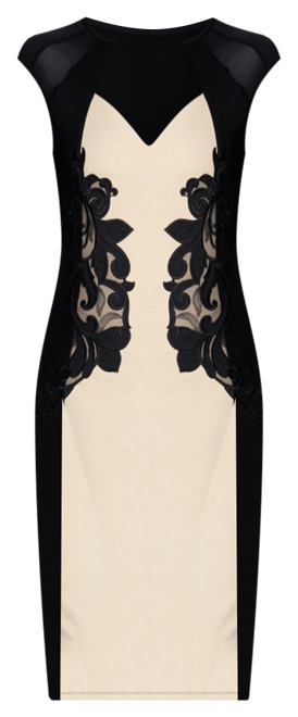 Women's Applique Pencil Dress