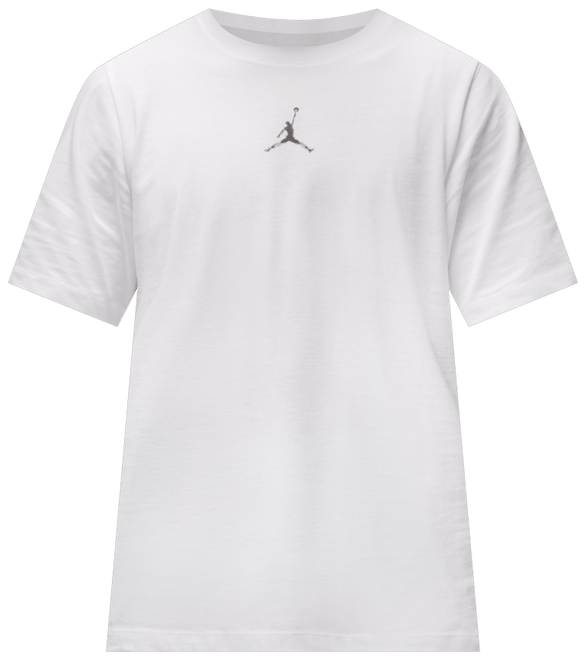 Jordan Sport T-shirt Dri-FIT för män