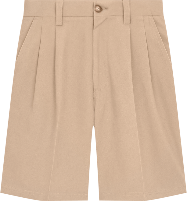 Big & Tall Wrinkle-Free Expandable Waist Pleat Front Shorts