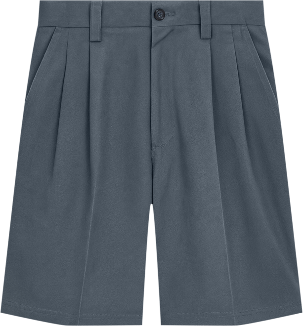 Big & Tall Wrinkle-Free Expandable Waist Pleat Front Shorts