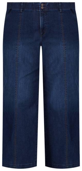 Democracy Plus 30 in Ab-Solution Wide Leg Jeans
