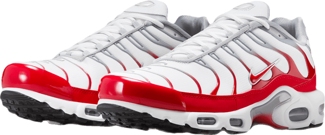 Nike Air Max Plus Erkek Ayakkabısı