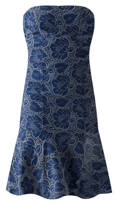 Women's Maisy Embroidered Lace Strapless Dress