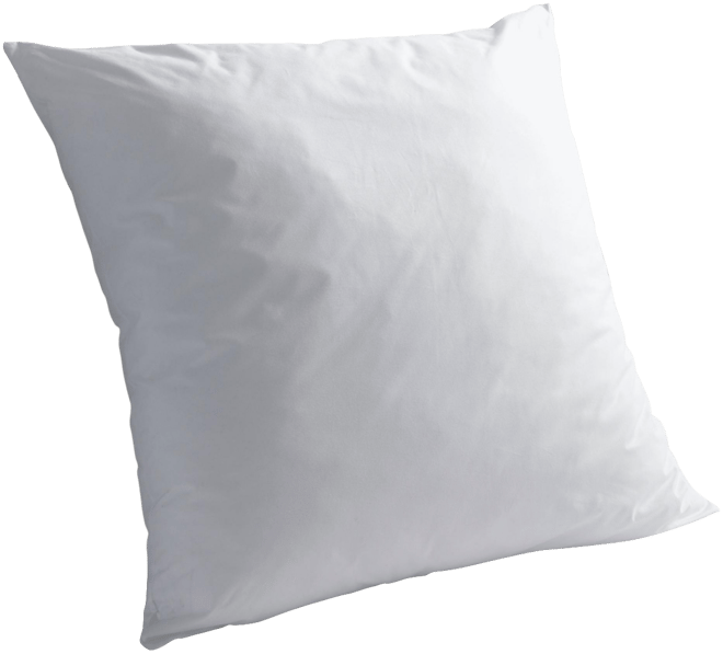 Euro Pillow Insert