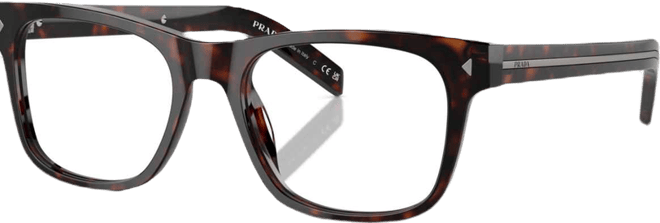 Men's Regular Eyeglasses, Pr A13VF