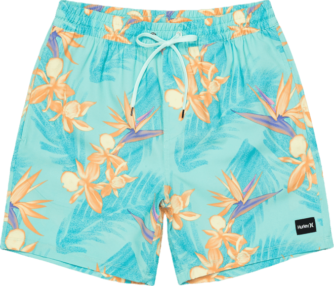 Men's Cannonball Volley 17 Boardshorts
