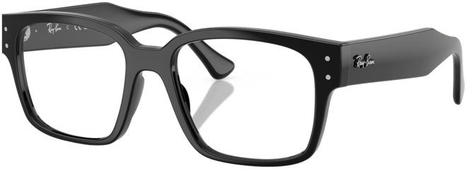 Unisex Laurene Optics Eyeglasses, RB7256