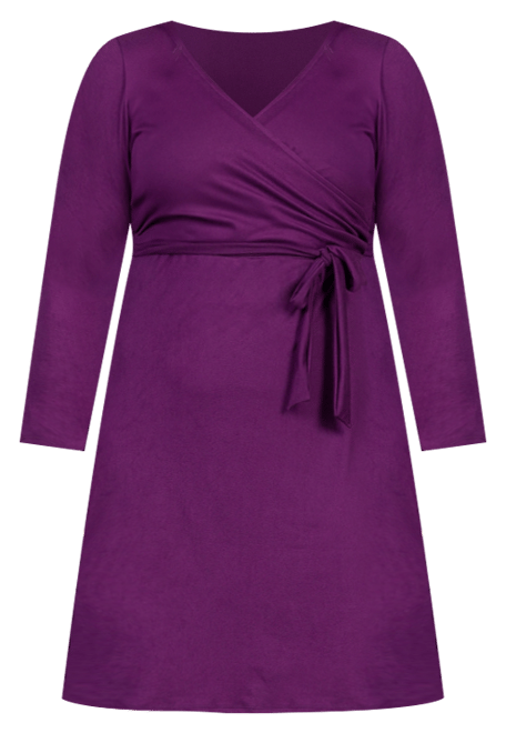 Plus Size Chic V-Neck Long Sleeve Belted Dress