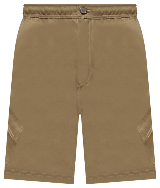 Jordan Essentials Statement Chicago Men's Shorts