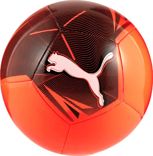 PUMA Big Cat Football