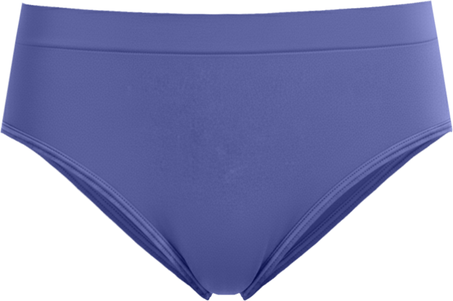 Women's Seamfree Hi-Cut Stretch Underwear 3788