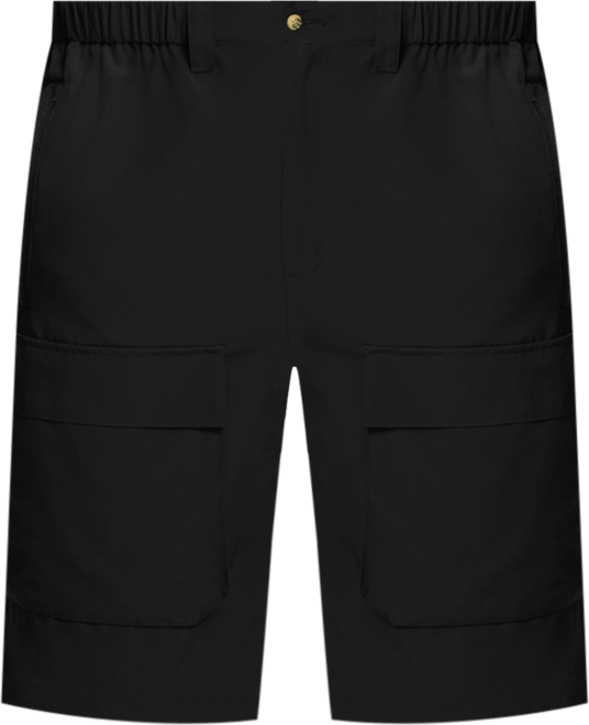 Big & Tall Performance 12" Cargo Shorts