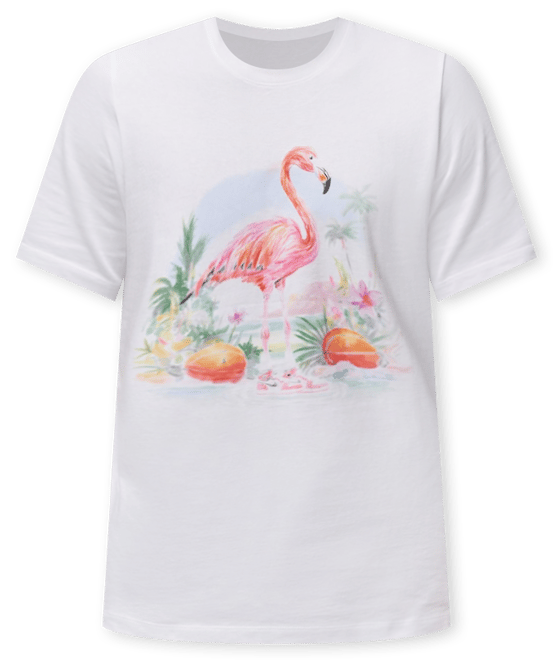 ★US発*Jordan*新作*Essential Flamingo Tシャツ/WHITE★ Shop Jordan Big Kids' AOP Flamingo Tee 95D844-001 white